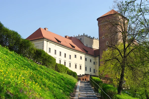 Patch a wawel-kastély, Krakkó, Lengyelország — Stock Fotó