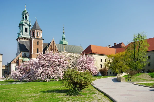 Castillo de Wawel en Cracovia, Polonia —  Fotos de Stock