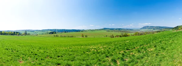 Panorama verde fresco durante la primavera — Foto Stock