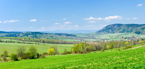 Green scene in the hills — Stock Photo, Image