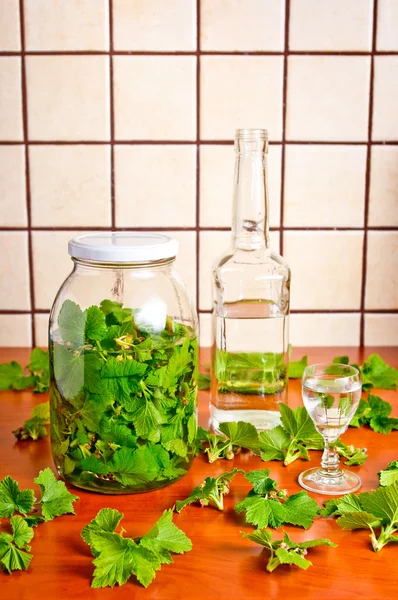 stock image Liqueur of black currant leaves