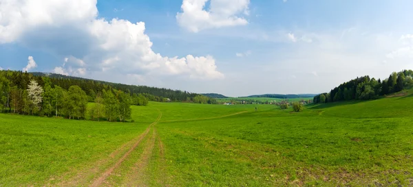 Панорама со свежими зелеными лугами — стоковое фото