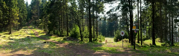 Panorama com fronteira checa na floresta — Fotografia de Stock