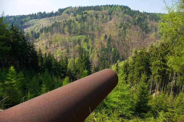 Pipe in the green forest — Stock Photo, Image