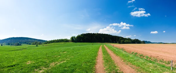 Spring panorama with the road — Stock Photo, Image