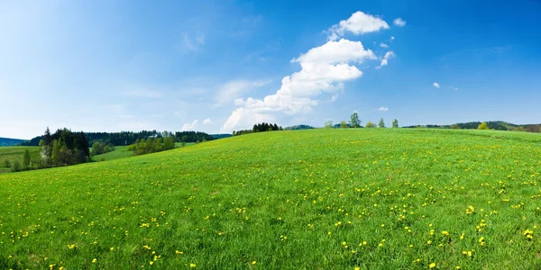 Panorama verde durante la primavera — Foto Stock