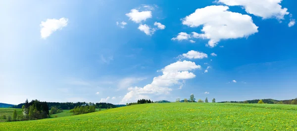 Gröna Olas och bue himmel — Stockfoto