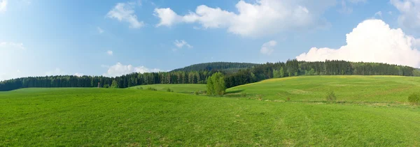 Panorama di madows verdi — Foto Stock