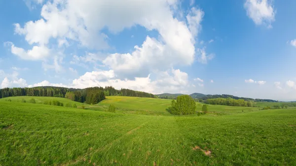 Landschaft mit Wiesen und Wald — Stockfoto
