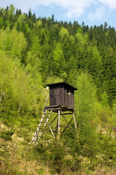 Wieża polowania w Puszczy — Zdjęcie stockowe