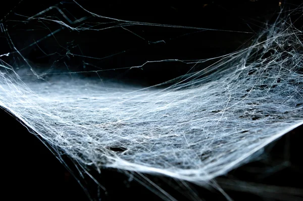 Siyah arka plan ile eski örümcek ağı — Stok fotoğraf