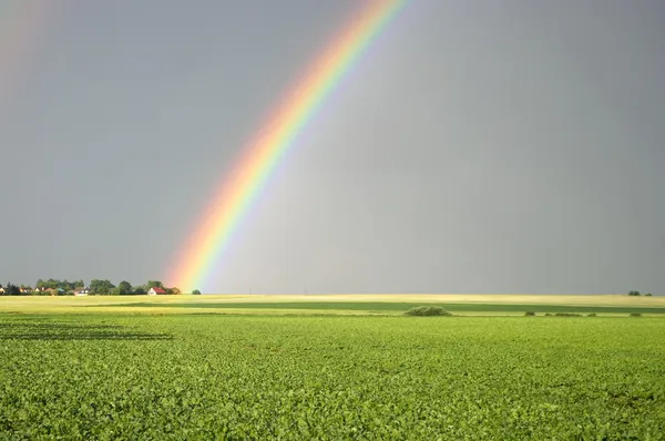 美丽的彩虹在绿色的田野 — Φωτογραφία Αρχείου