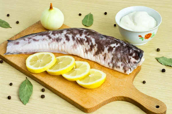 Burbot fish — Stock Photo, Image