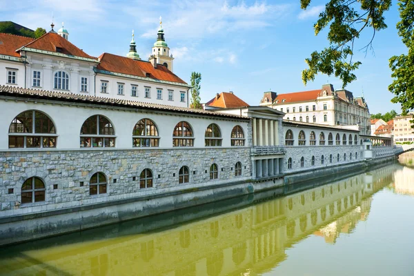 Rzeka w Lublanie od Smoczy most, Słowenia — Zdjęcie stockowe