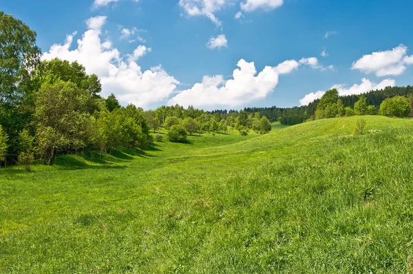 Πράσινο λιβάδι στους λόφους — Φωτογραφία Αρχείου