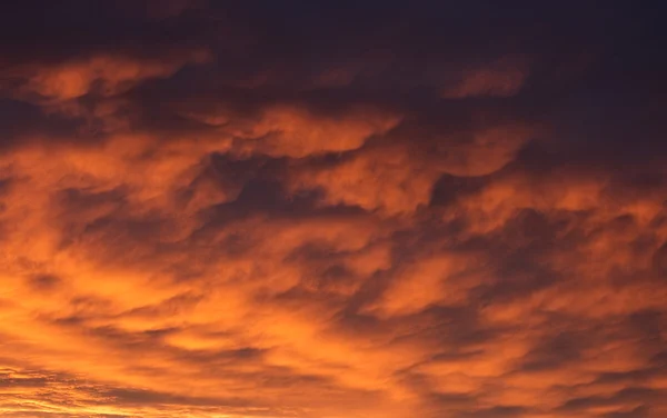 Cielo drammatico durante il tramonto dorato — Foto Stock