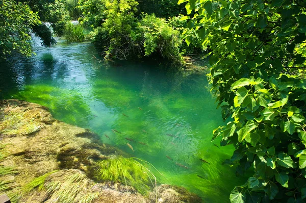 Smaragdzöld víz a krka nemzeti park, Horvátország — Stock Fotó