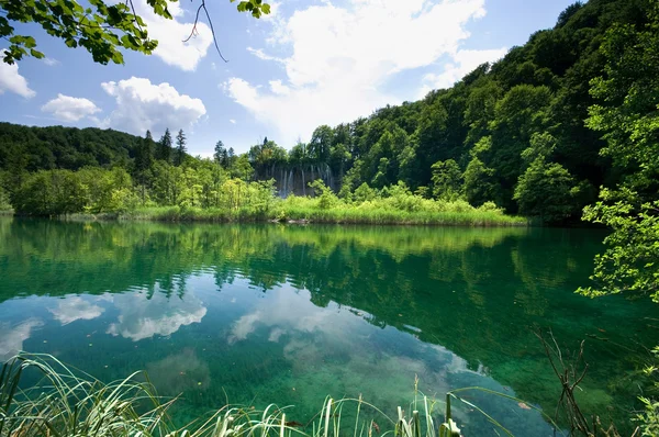 stock image Beautiful lake in forest, Plitvice, Croatia