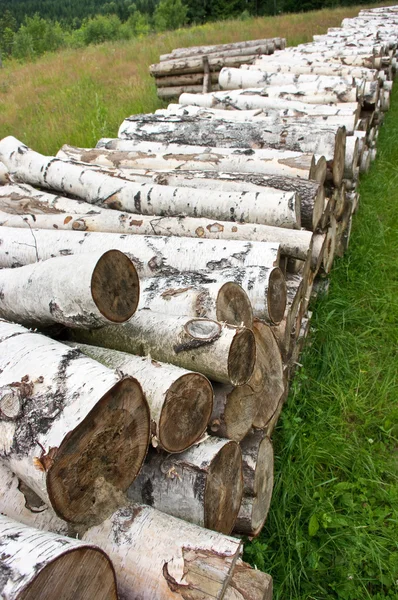 Pile of birch wood — Stock Photo, Image
