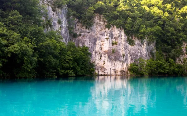 Schöner See im Wald, plitvice, Kroatien — Stockfoto