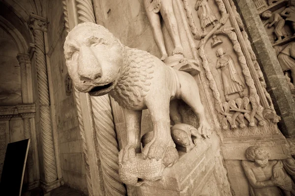 Antike Löwenstatue in Trogir, Kroatien — Stockfoto