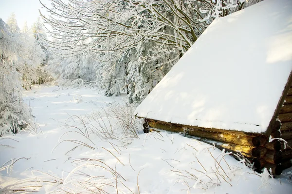 Cabaña en el bosque durante el invierno — Foto de Stock