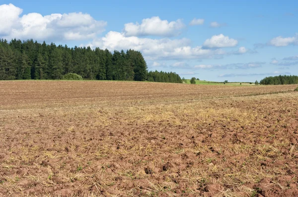 Plowed field near forest — Stock Photo, Image