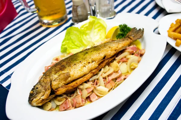 Trout in Czech — Stock Photo, Image