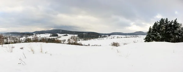Panoramic winter landscape in the hills — Stockfoto