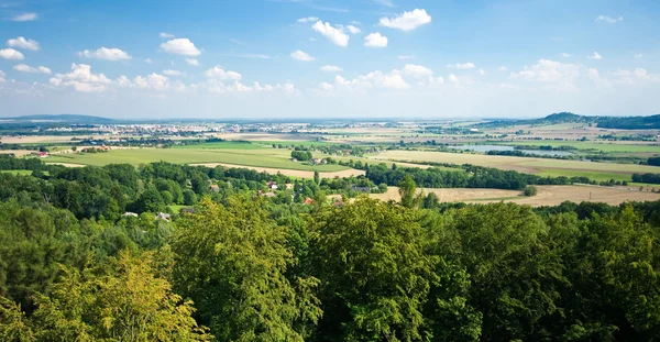 Panorama met bos en open velden — Stockfoto