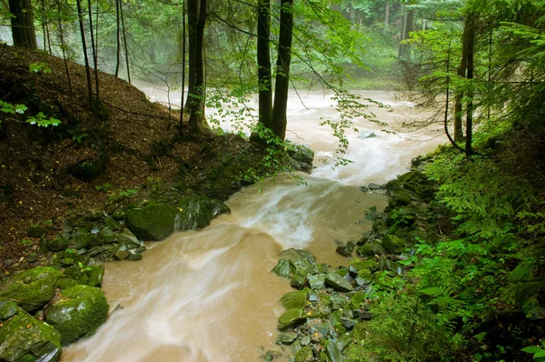 Zijrivier en grote rivier na regen — Stockfoto