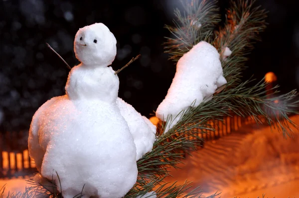Kleine sneeuwpop op de tak — Stockfoto