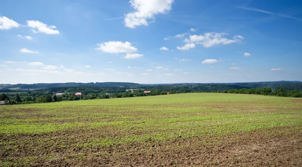 Plöjda fält och blå himmel — Stockfoto