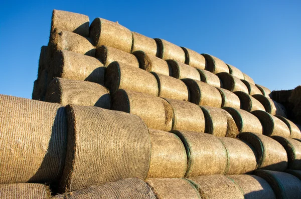 stock image Bales of hay