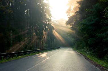 yol boyunca güneş ışınları