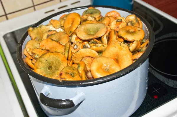 Culinária de cogumelos — Fotografia de Stock