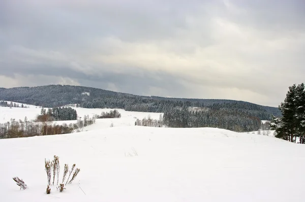 Winters tafereel met besneeuwde wolken — Stockfoto