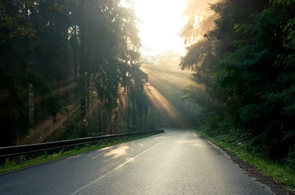 Sunbeams over the road — Stock Photo, Image
