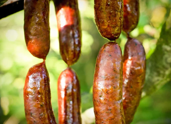 Свежая копченая колбаса на ветке — стоковое фото