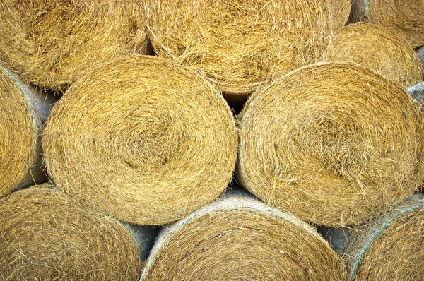 Тюки сена — стоковое фото