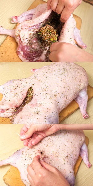 Preparación de pato relleno —  Fotos de Stock