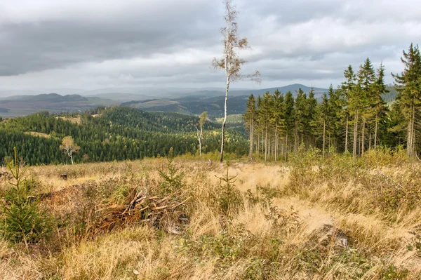Hösten i Karpaterna hills — Stockfoto