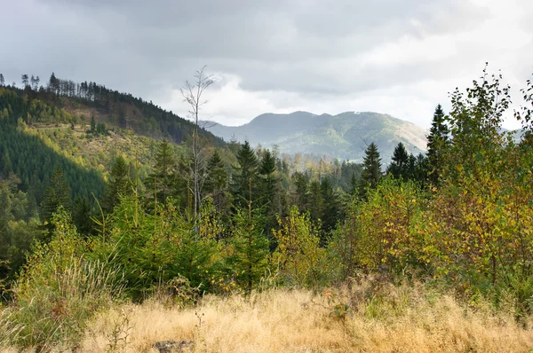 Herfst in de heuvels van de Karpaten — Stockfoto