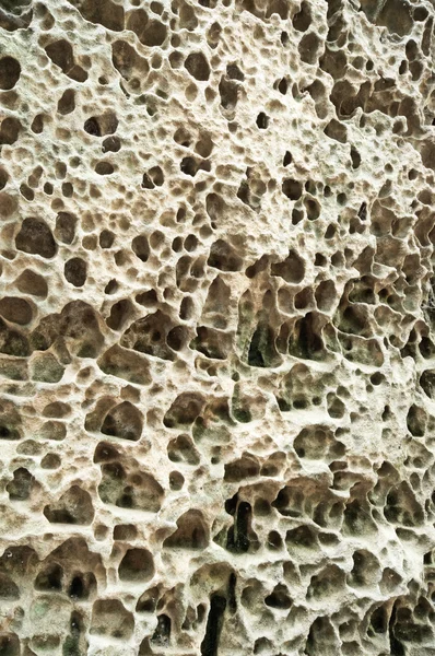 stock image Porous sandstone structure