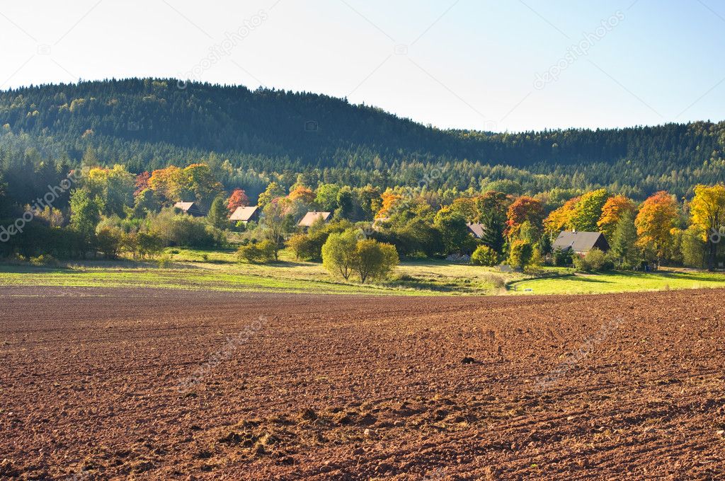 Rural scene with plowed field and village
