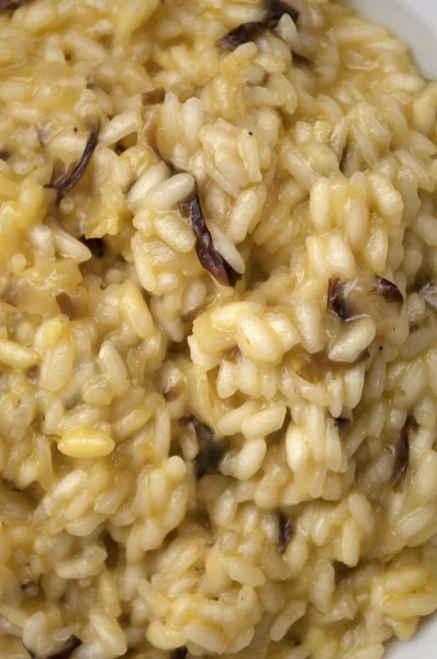 stock image Italian risotto with porcini mushrooms radicchio and cheese