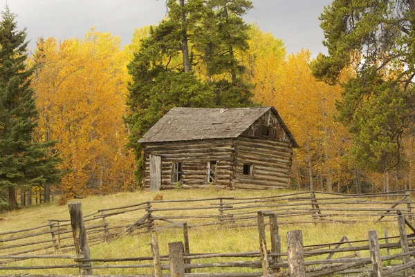 Antigua casa en otoño — Foto de Stock