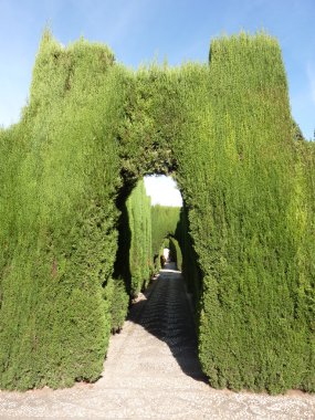 Granada'da alhambra Sarayı bahçeleri