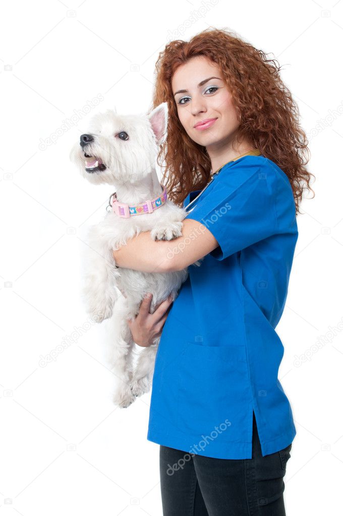 Female vet with dogs — Stock Photo © filomedia #7949964