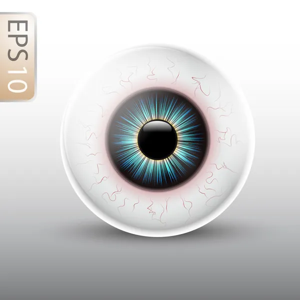 Eyeball Illustration — Stock Vector